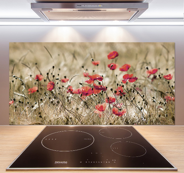 Cooker splashback Macs