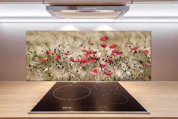 Cooker splashback Macs