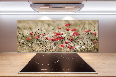 Cooker splashback Macs