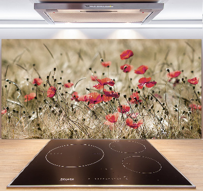 Cooker splashback Macs