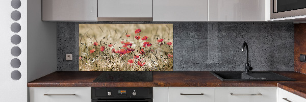 Cooker splashback Macs