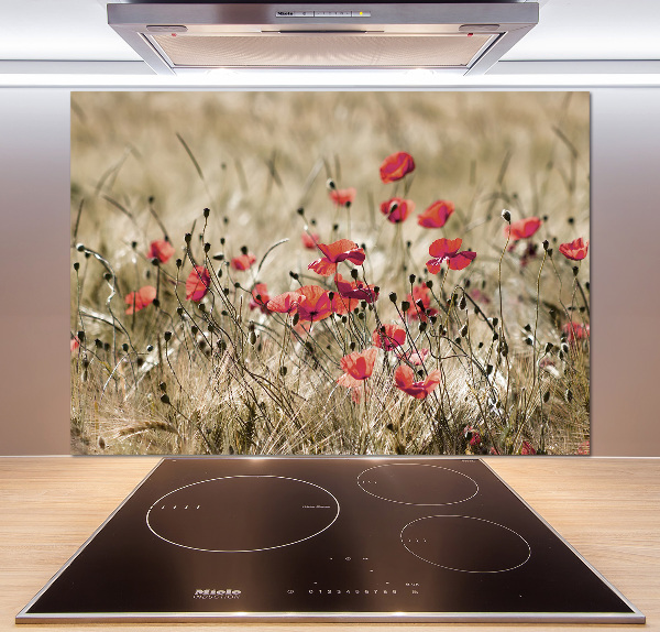 Cooker splashback Macs