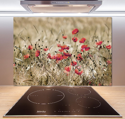 Cooker splashback Macs