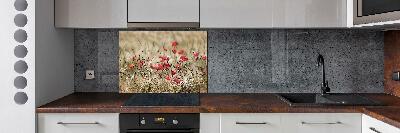 Cooker splashback Macs