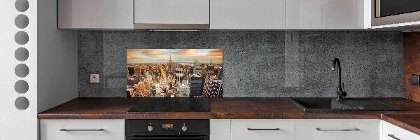 Cooker splashback New York Bird Lot