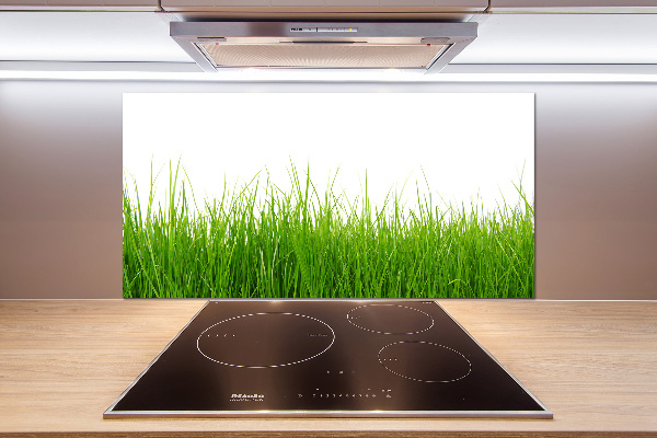 Cooker splashback Grass