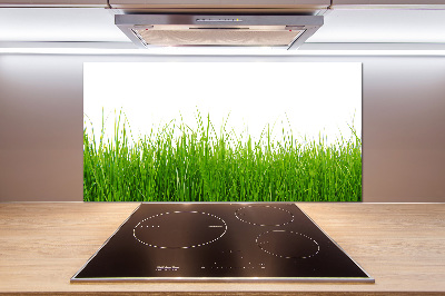 Cooker splashback Grass