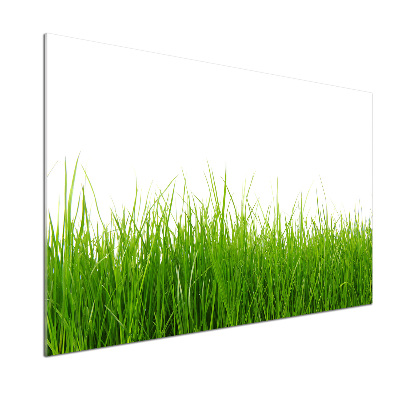 Cooker splashback Grass