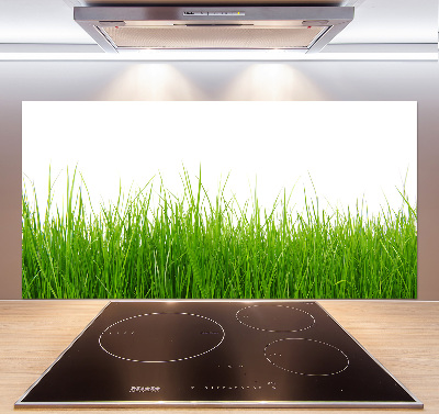 Cooker splashback Grass