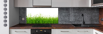 Cooker splashback Grass