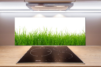 Cooker splashback Grass