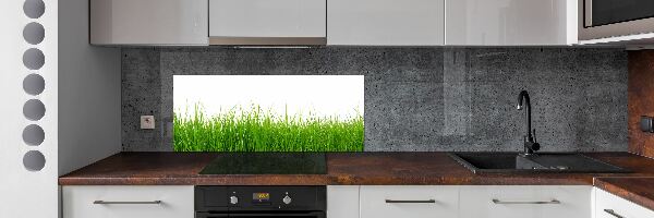 Cooker splashback Grass