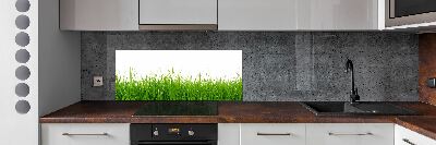 Cooker splashback Grass