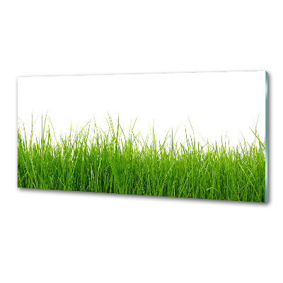 Cooker splashback Grass