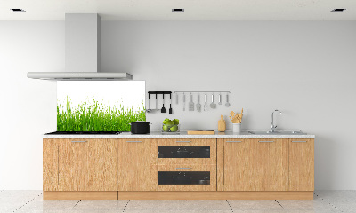 Cooker splashback Grass