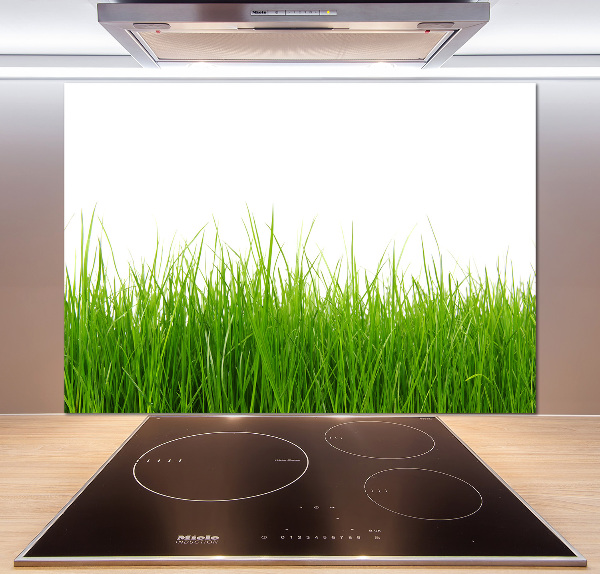 Cooker splashback Grass