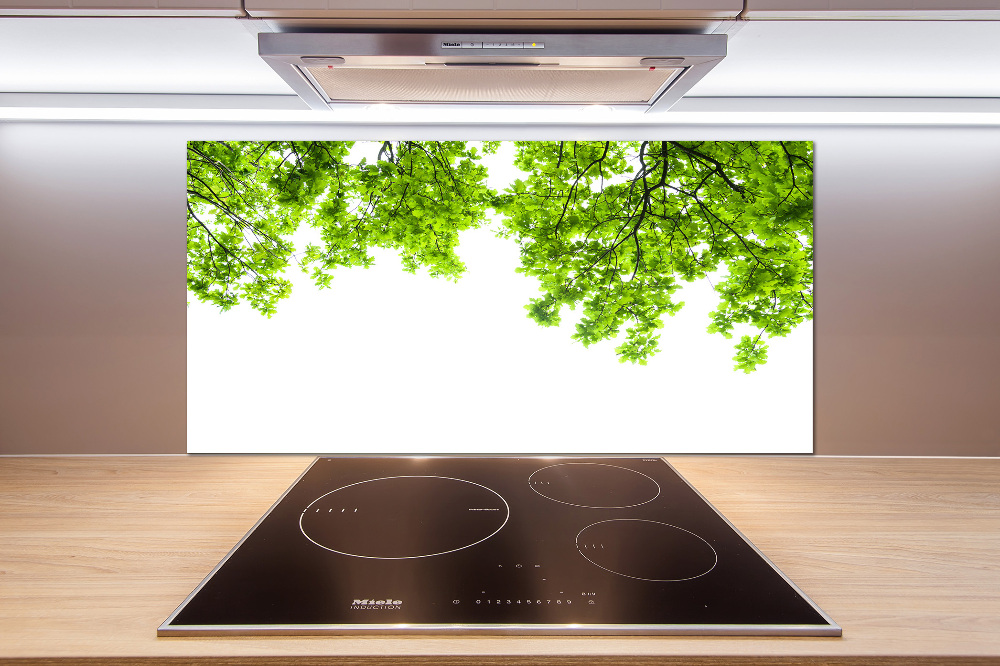 Cooker splashback Oak leaves