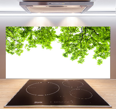 Cooker splashback Oak leaves