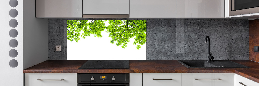 Cooker splashback Oak leaves