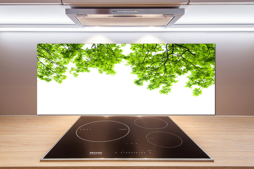 Cooker splashback Oak leaves