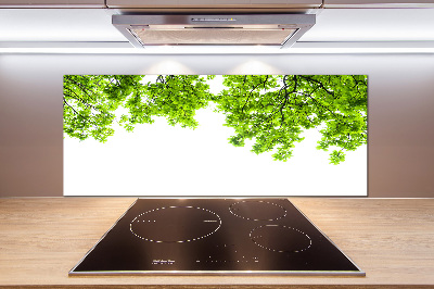 Cooker splashback Oak leaves