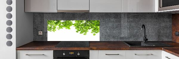 Cooker splashback Oak leaves