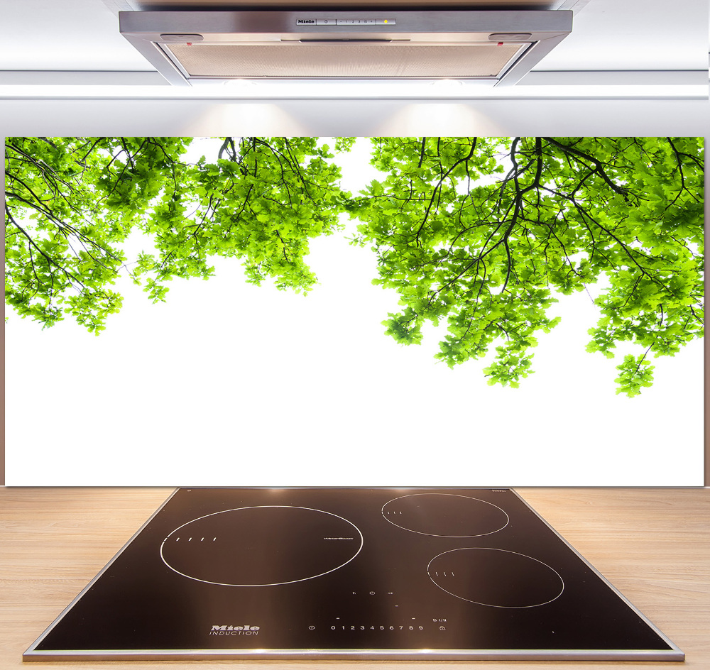 Cooker splashback Oak leaves