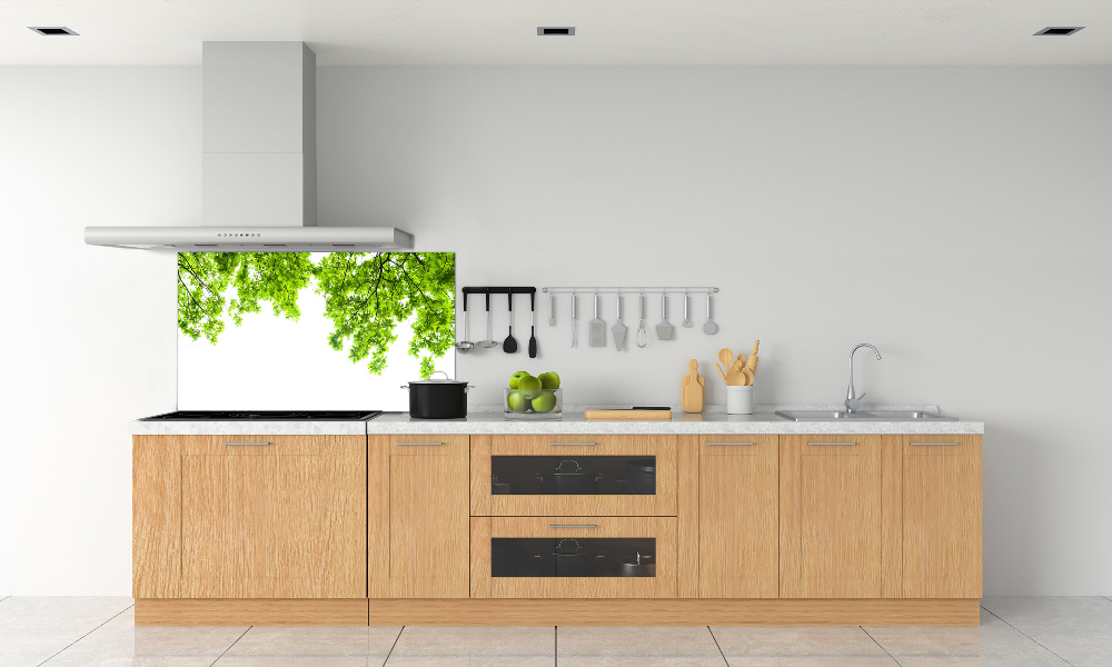 Cooker splashback Oak leaves