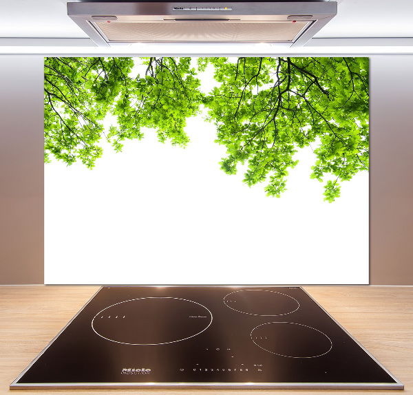 Cooker splashback Oak leaves