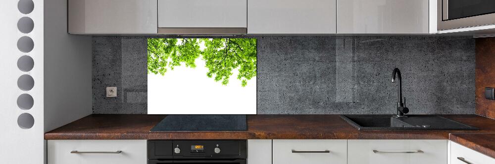 Cooker splashback Oak leaves