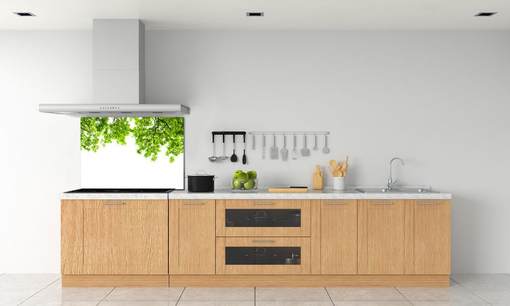 Cooker splashback Oak leaves