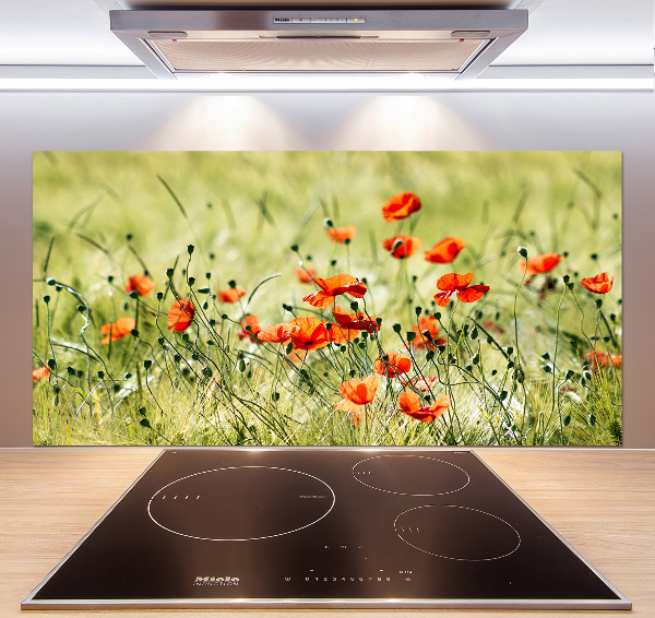 Cooker splashback Macs