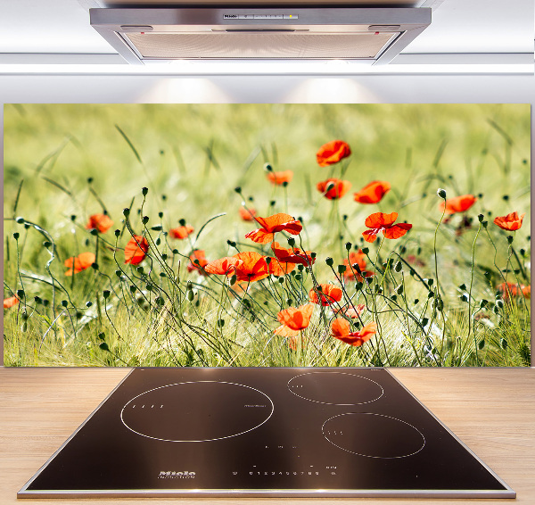 Cooker splashback Macs