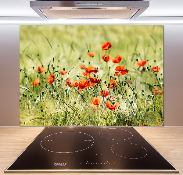 Cooker splashback Macs