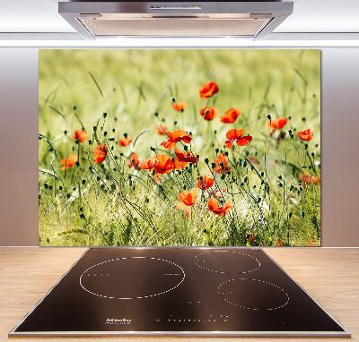 Cooker splashback Macs