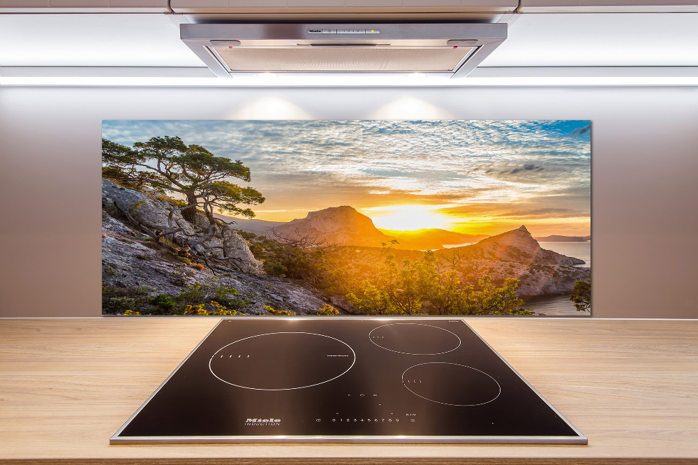 Cooker splashback Sunset