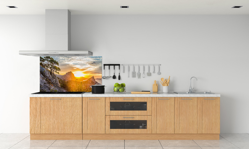 Cooker splashback Sunset