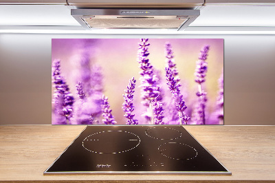 Cooker splashback Lavender