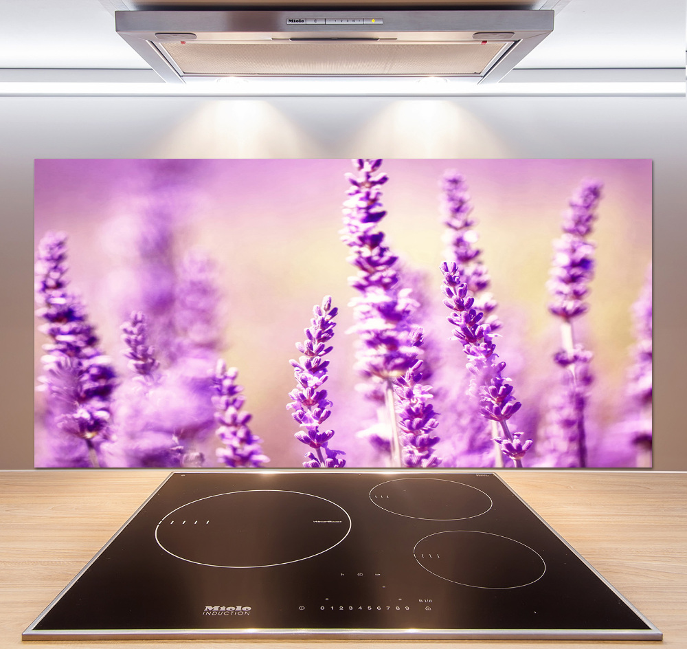 Cooker splashback Lavender