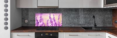 Cooker splashback Lavender