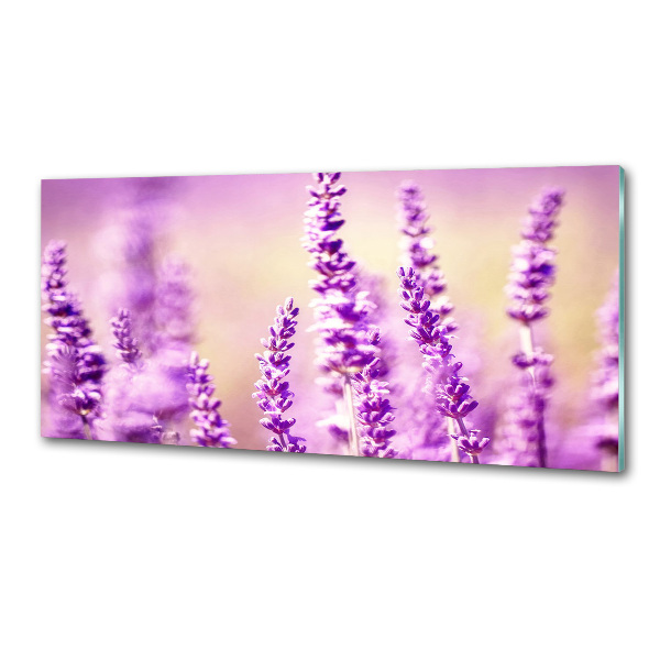 Cooker splashback Lavender