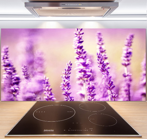 Cooker splashback Lavender