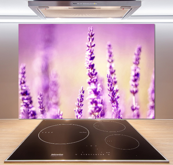 Cooker splashback Lavender