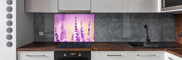 Cooker splashback Lavender