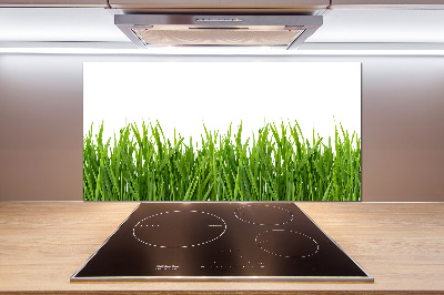 Cooker splashback Grass