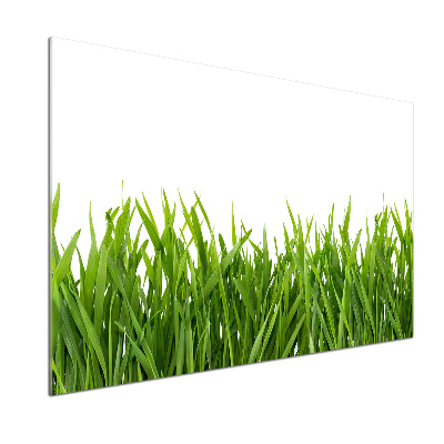 Cooker splashback Grass