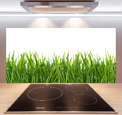 Cooker splashback Grass