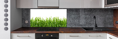 Cooker splashback Grass