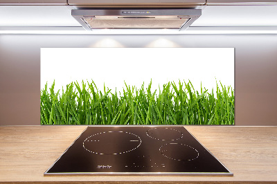 Cooker splashback Grass