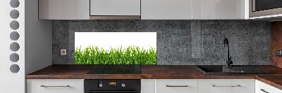 Cooker splashback Grass